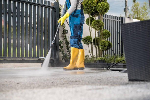 Boat and Dock Cleaning in Paden City, WV